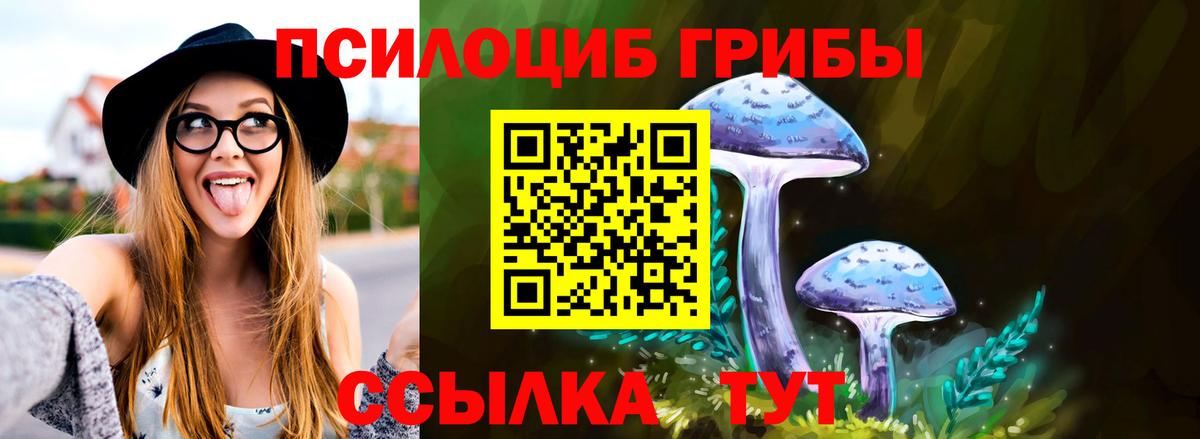Кировск  Псилоцибиновые грибы MAGIC MUSHROOMS  Вход с VPN  Галлюциногенные грибы MAGIC MUSHROOMS 